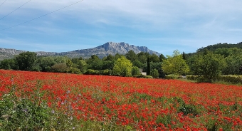 sainte victoire